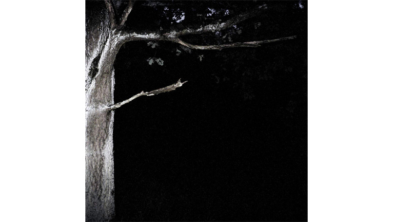 Der Wald Der Wald [&copy; Robert Berghoff]