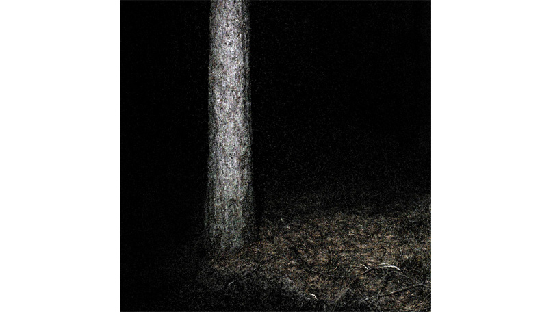Der Wald Der Wald [&copy; Robert Berghoff]