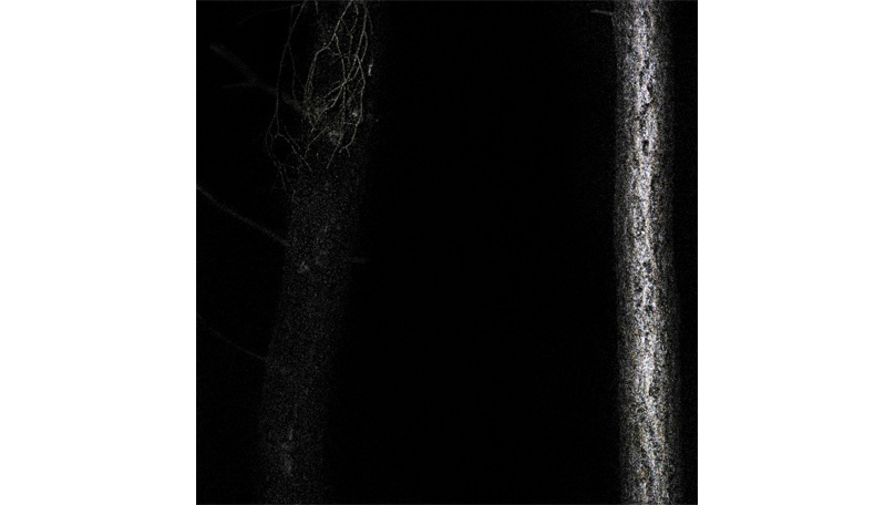 Der Wald Der Wald [&copy; Robert Berghoff]